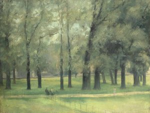 Elms near Long Walk